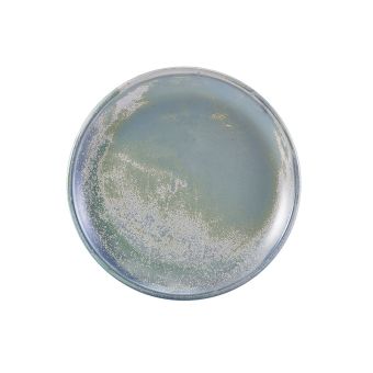GenWare Terra Porcelain Coupe Plates - 24cm - Seafoam