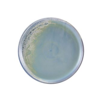 GenWare Terra Porcelain Coupe Plates - 27.5cm - Seafoam